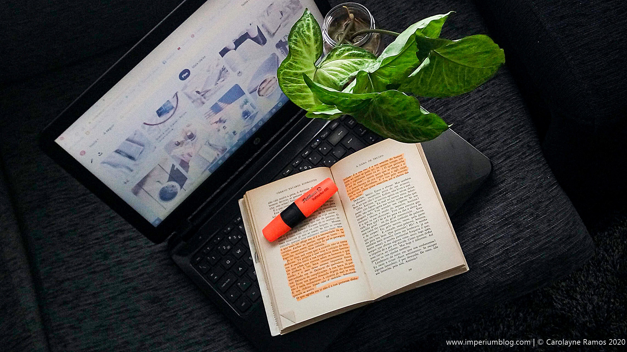 Sobre sublinhar livros; porquê sublinhar livros; livros sublinhados e anotados; anotações em livros e a importância de o fazer